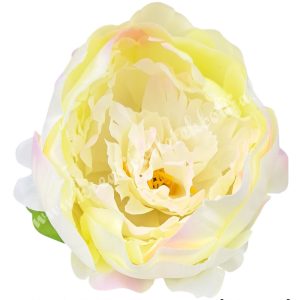 Peonia fej, vanília, 10 cm