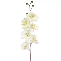 Orchidea ág, törtfehér, 80 cm