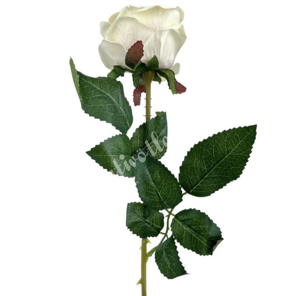 Selyem rózsaszál, krém-rózsaszín, 53 cm