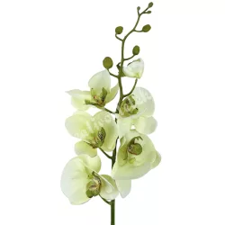 Szatén orchidea ág, halványzöld, 90 cm