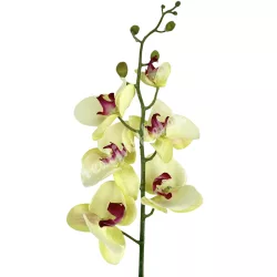 Szatén orchidea ág, vanília, 90 cm