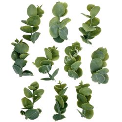 Eukaliptusz ágak, hamvas zöld, 6 cm, 10 db/csomag