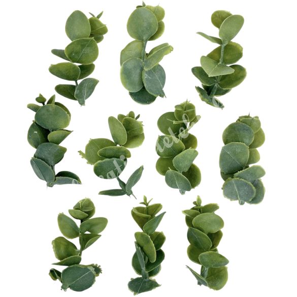 Eukaliptusz ágak, hamvas zöld, 6 cm, 10 db/csomag