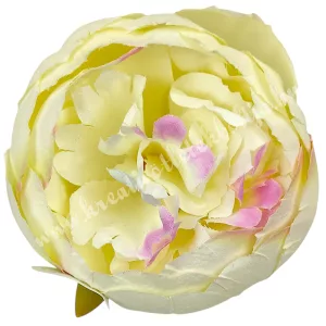 Peonia fej, krém-rózsaszín, 9 cm