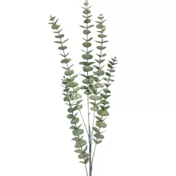 Eukaliptusz ág, zöld, 100 cm