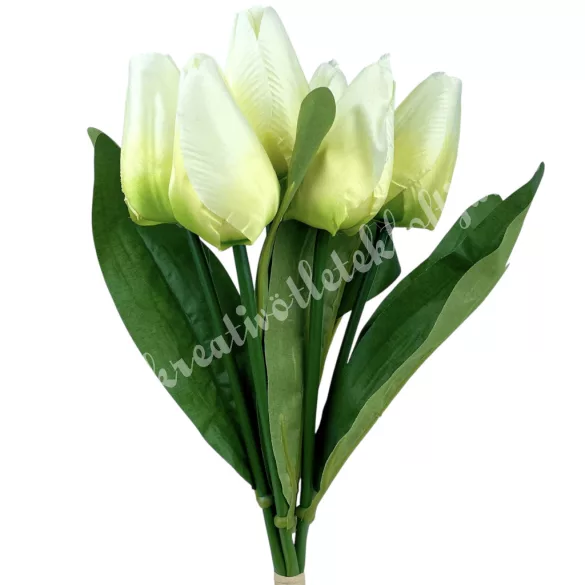 Tulipán köteg, vanília-lime, 35 cm