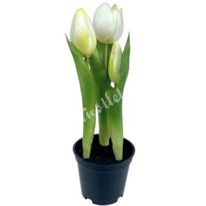 Cserepes tulipán, törtfehér, 23 cm