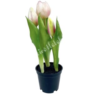 Cserepes tulipán, világos rózsaszín, 23 cm