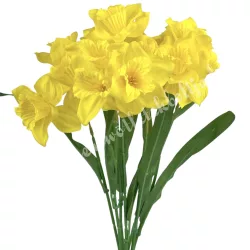 Nárcisz csokor, sárga, 43 cm