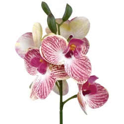 Real touch orchidea ág, rózsaszín-sárga, 43 cm