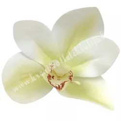 Real touch orchideafej, krém-zöld, 9 cm