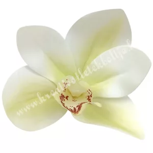 Real touch orchideafej, krém-zöld, 9 cm