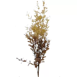 Bukszus ág, krém-sötétbarna, 66 cm