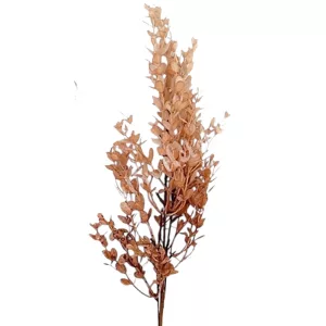 Bukszus ág, mályva, 66 cm