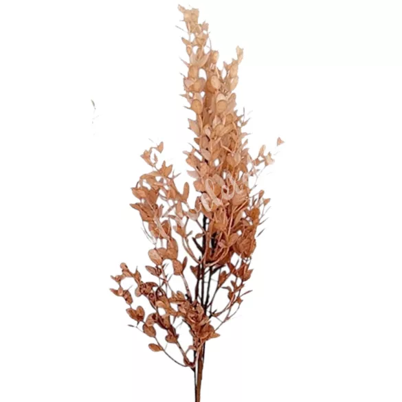 Bukszus ág, mályva, 66 cm