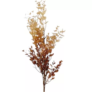 Bukszus ág, világosbarna, 66 cm