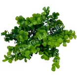 Bukszus csokor, sötétzöld, 33 cm