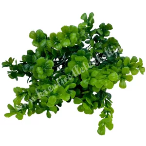 Bukszus csokor, sötétzöld, 33 cm