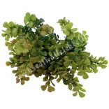 Bukszus csokor, zöld-okker, 33 cm