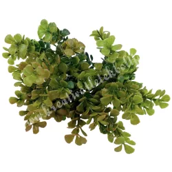 Bukszus csokor, zöld-okker, 33 cm