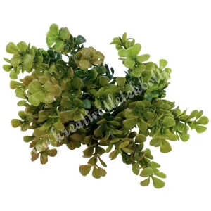 Bukszus csokor, zöld-okker, 33 cm