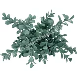 Szívlevelű csokor, hamvas zöld, 31 cm