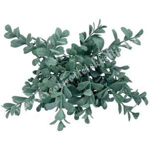 Szívlevelű csokor, hamvas zöld, 31 cm