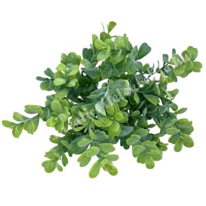 Szívlevelű csokor, világoszöld, 31 cm
