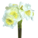 Nárcisz köteg, fehér-sárga, 41 cm