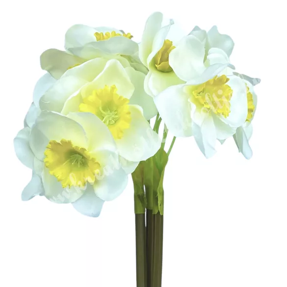 Nárcisz köteg, fehér-sárga, 41 cm