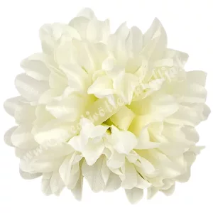 Krizantém fej, törtfehér, 13 cm