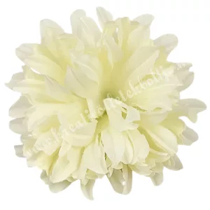Krizantém fej, krém, 13 cm