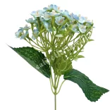 Nefelejcs, kék, 26 cm