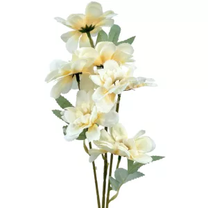 Szellőrózsa szál, barack, 58 cm