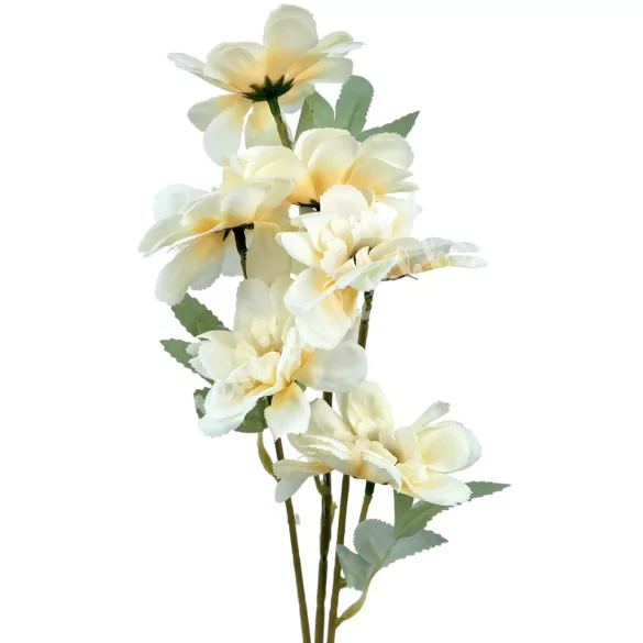 Szellőrózsa szál, barack, 58 cm