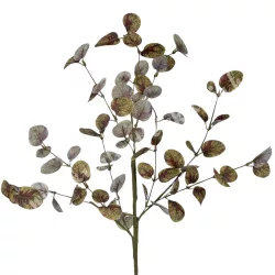 Eukaliptusz ág, sötétbarna-bordó, 70 cm