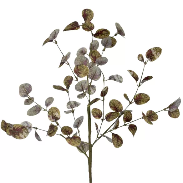 Eukaliptusz ág, sötétbarna-bordó, 70 cm