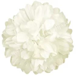Krizantém fej, krém, 13 cm