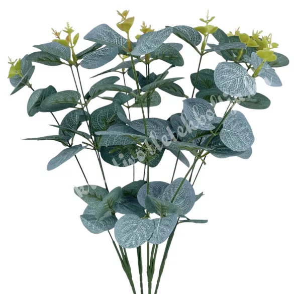 Eukaliptusz csokor, hamvas zöld, 45 cm