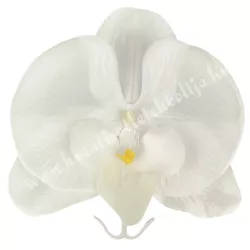 Szatén orchideafej, fehér, 12 cm