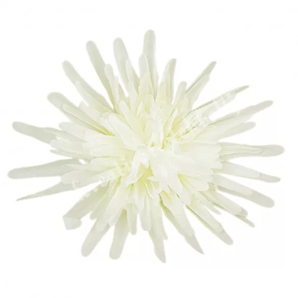 Pók krizantém fej, törtfehér, 14 cm