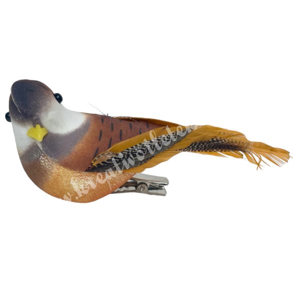 Csipeszes madárka, barna, 9x4 cm