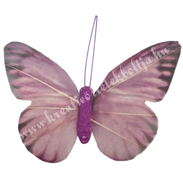 Csipeszes pillangó, lila, 8x7,5 cm