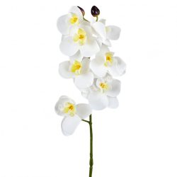 Orchidea, fehér, 70 cm