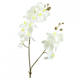Orchidea, fehér, 65 cm