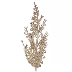 Boróka ág, barna, 15 cm