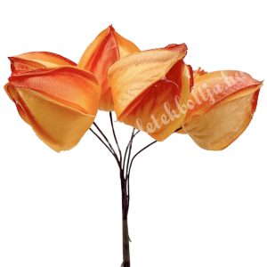 Betűzős lampionvirág, 3,5x3,5 cm, 6 db/csokor