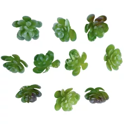   Kövirózsa fej, hamvas zöld-rózsaszín, 2,5x2,5 cm, 10 db/csomag