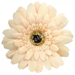 Gerbera virágfej, barack, 11 cm