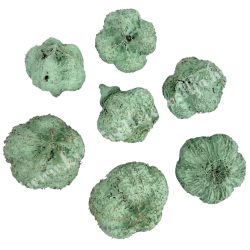   Szárazdekoráció, fokhagymatermés, mentazöld, kb. 20 gr/csomag